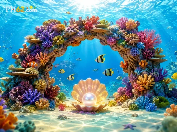 Star Fishing image 1
